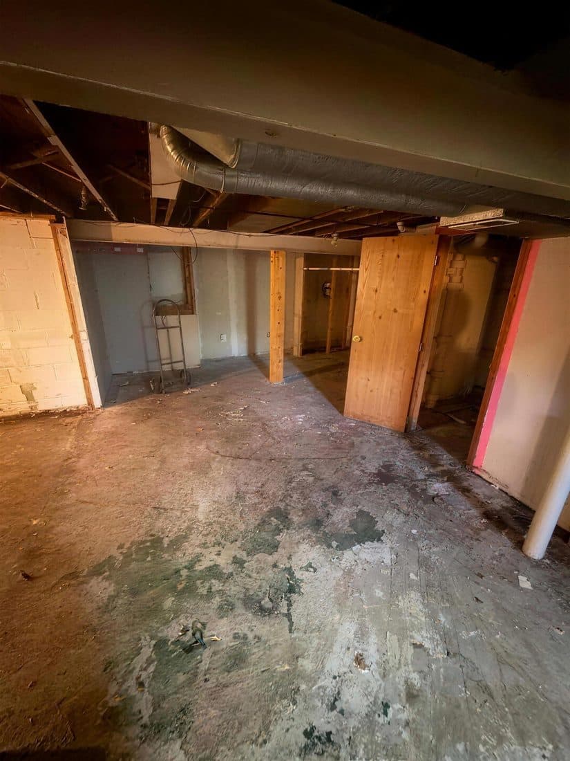 Basement Cleanout, after